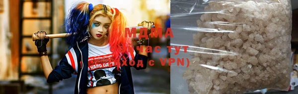 шишки Абаза