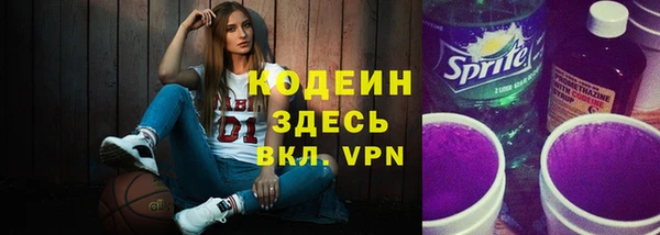 шишки Абаза