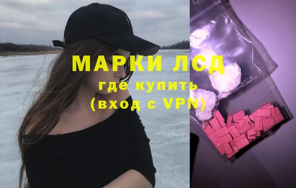 шишки Абаза