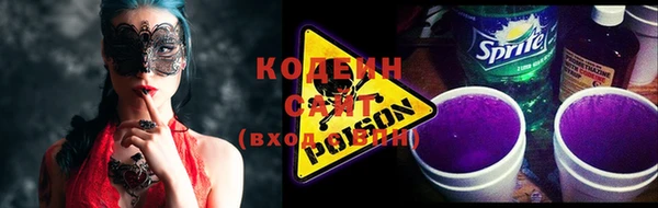 шишки Абаза