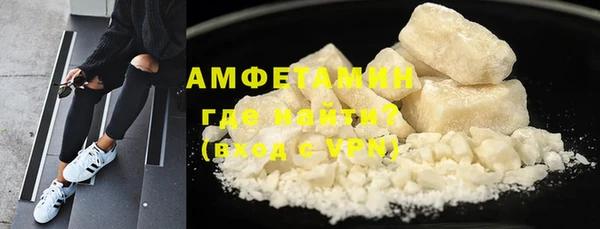 шишки Абаза