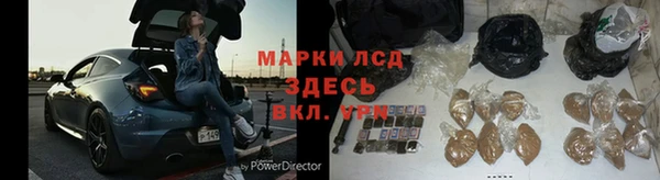 сатива Алзамай