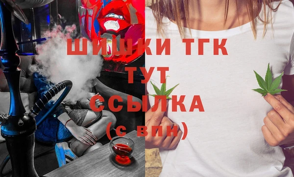 сатива Алзамай
