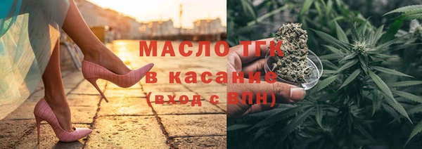 шишки Абаза