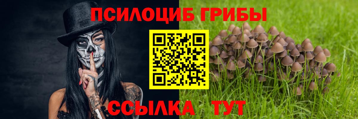 Псилоцибиновые грибы прущие грибы Хасавюрт